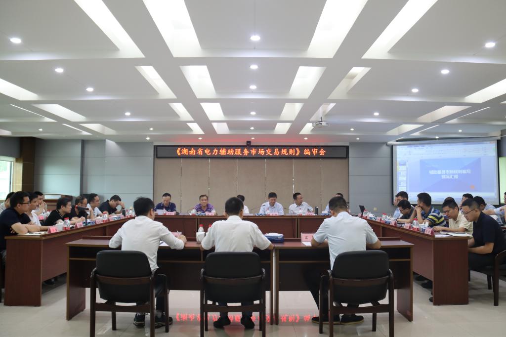 《湖南省电力辅助服务市场交易规则》编审会在株洲航电分mk召开