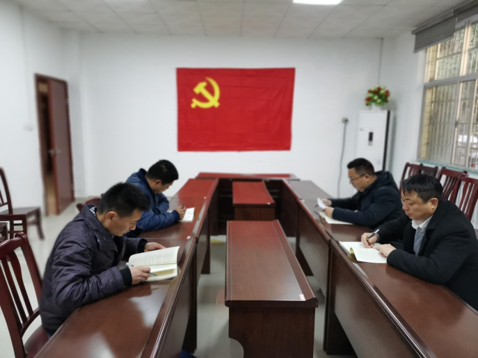 湖南鸟儿巢水电站发电有限mk党支部正式成立