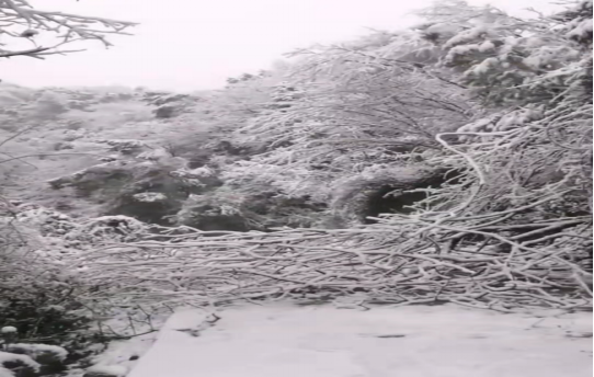 战暴雪、保供电！mk（中国）鸟儿巢mk应对极端天气紧急抢修失电故障